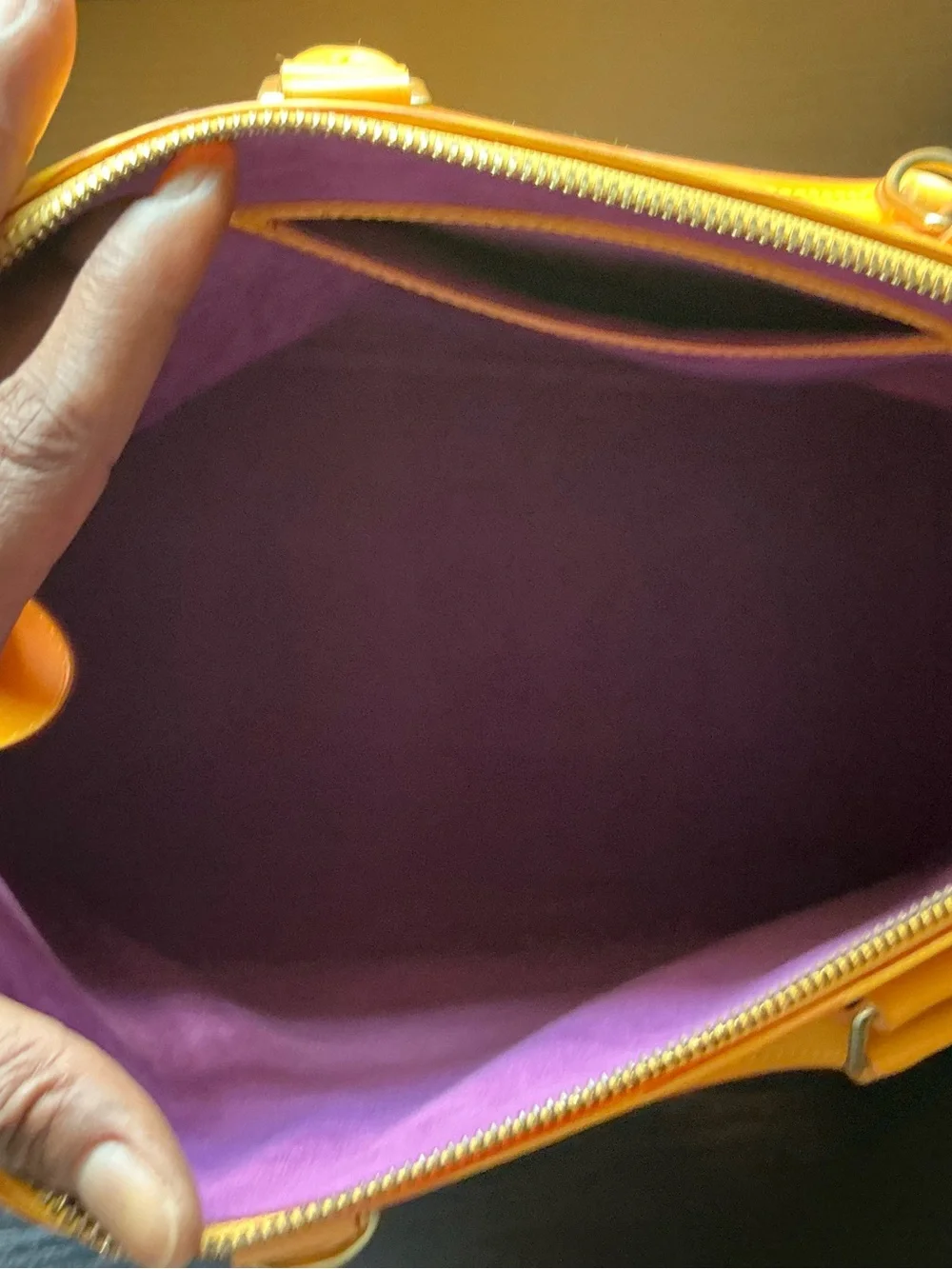 Louis Vuitton classic alma